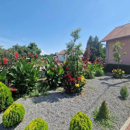 B&B Majhen Kopacevo Exterior photo